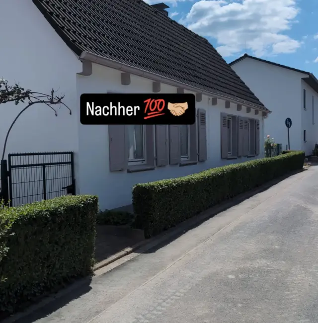 Vorher vs. Nachher Hecke schneiden 💯🤝🏼