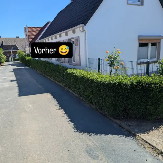 Vorher vs. Nachher Hecke Schneiden 💯