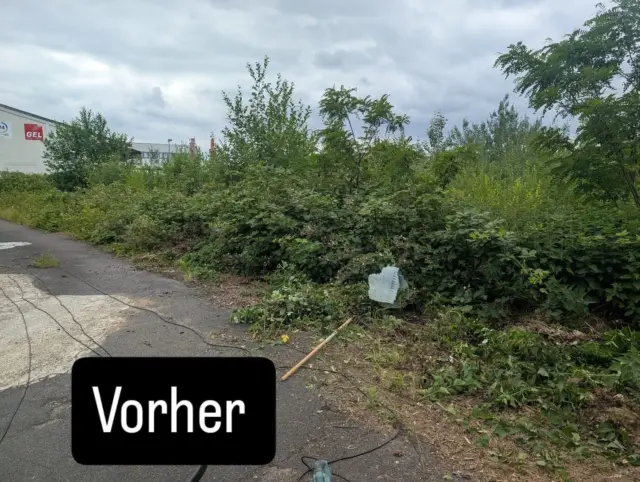 Vorher