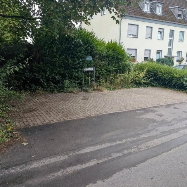 Vorher/Nachher Bilder Gartenpflege